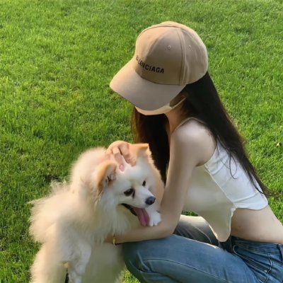 一条狗的回家路