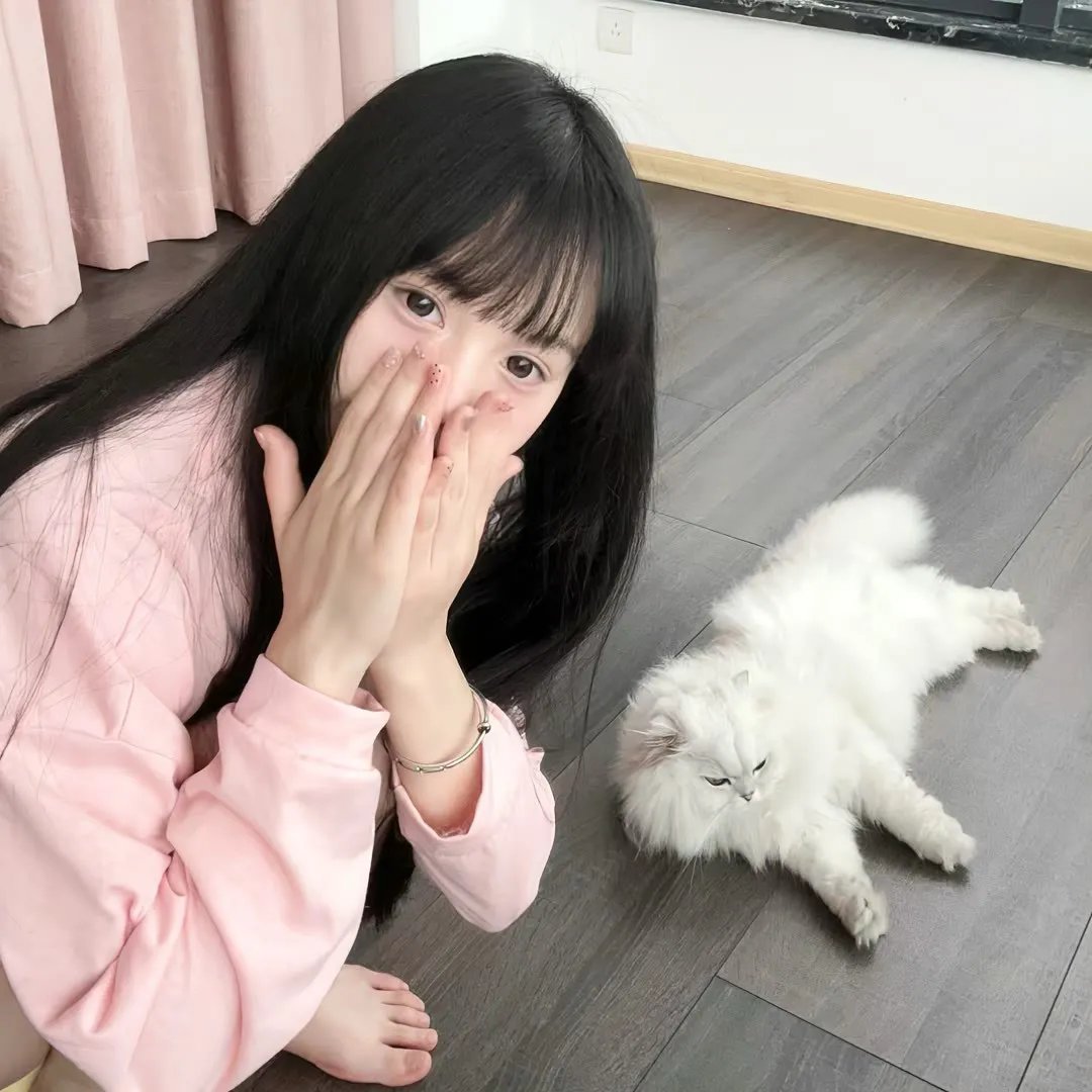 复婚